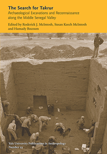 Yellow-toned book cover with title at the top above a photograph of men excavating at the bottom of a deep room with brick walls, and a man looking down from above.