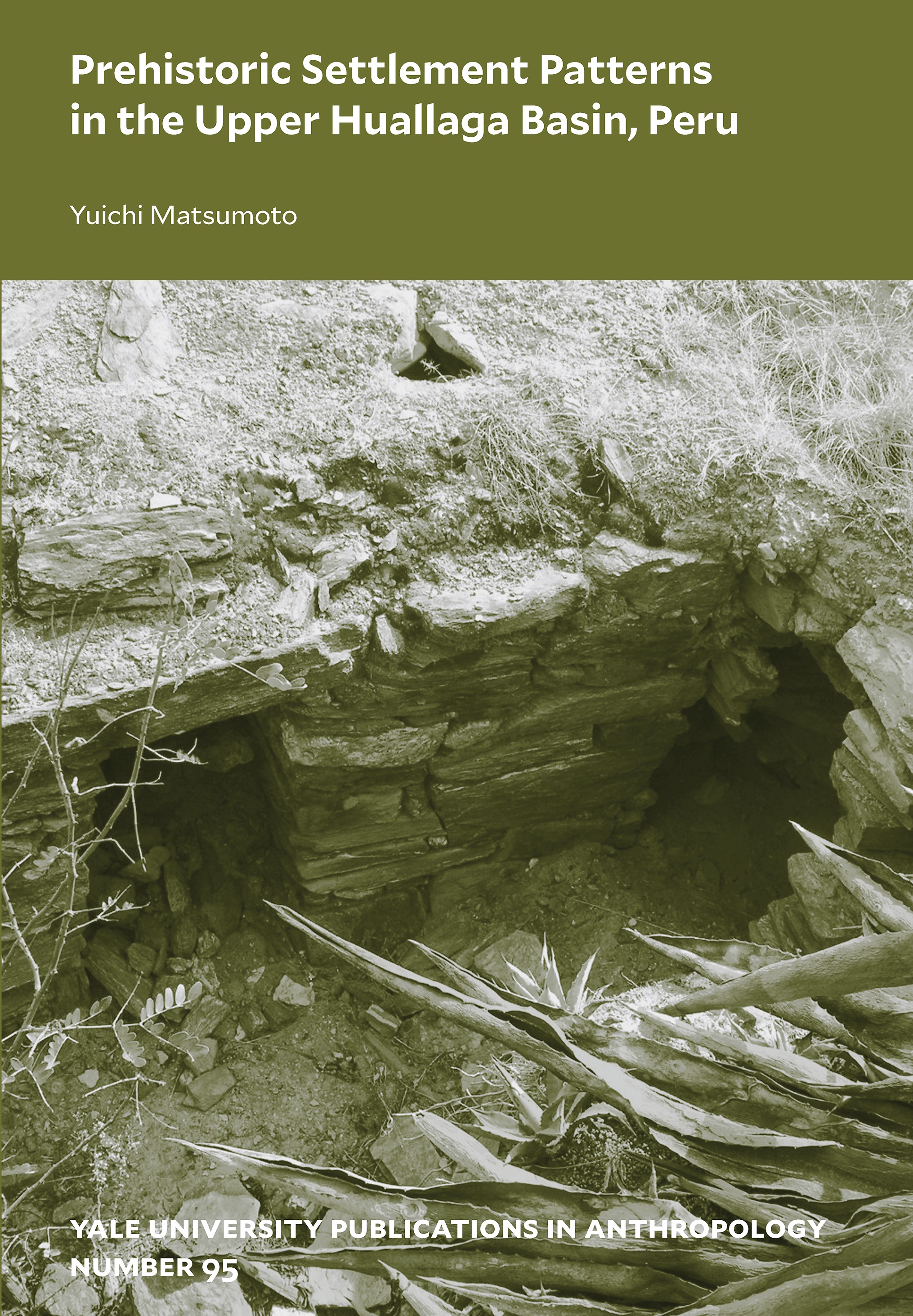Green-toned book cover with the title at the top above a photograph of thick vegetation at the edge of a rectangular pit revealing a stone wall with two doorways